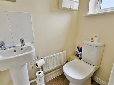 Picture 10